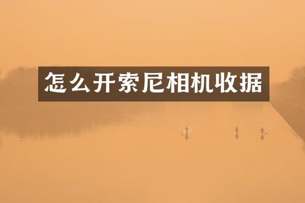 怎么开索尼相机收据