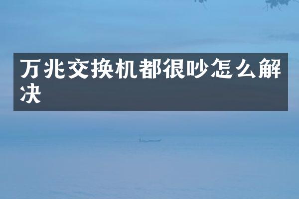 万兆交换机都很吵怎么解决