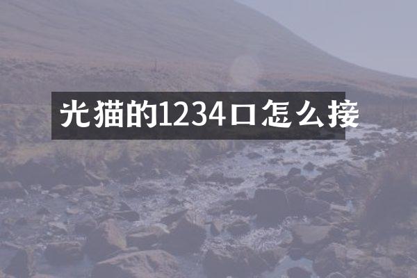 光猫的1234口怎么接