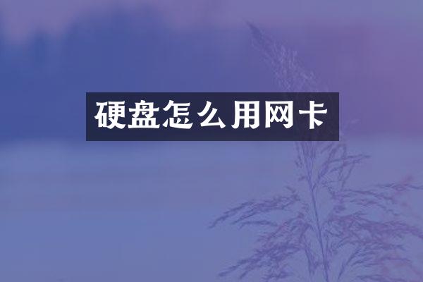 硬盘怎么用网卡