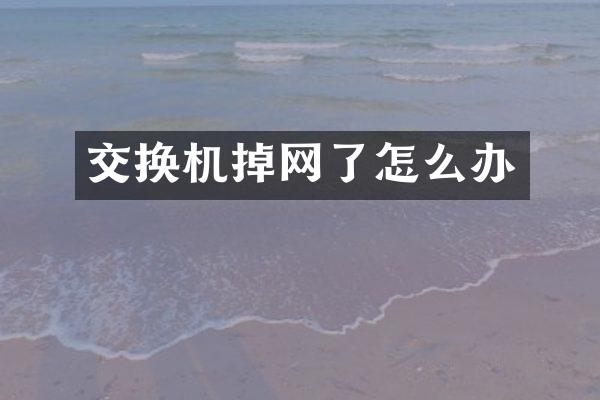 交换机掉网了怎么办