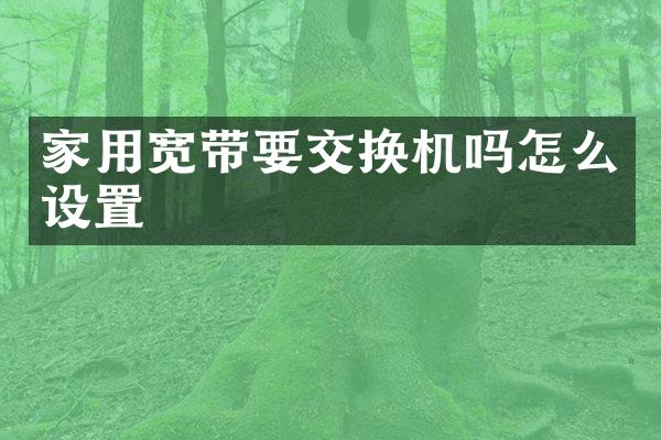 家用宽带要交换机吗怎么设置