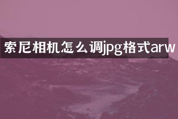 索尼相机怎么调jpg格式arw