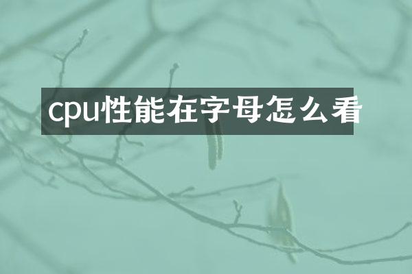 cpu性能在字母怎么看