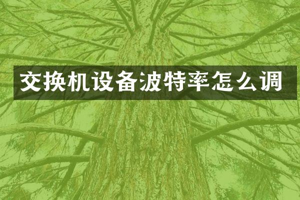 交换机设备波特率怎么调