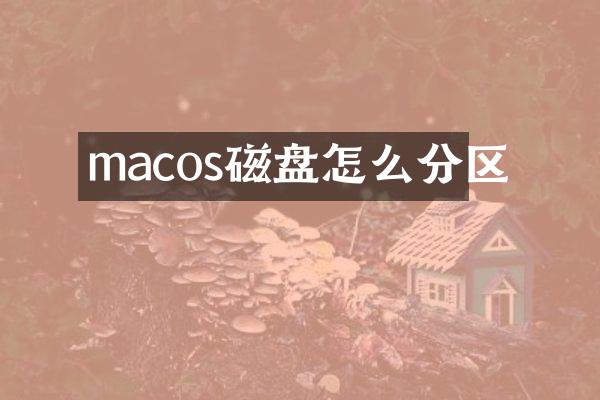 macos磁盘怎么分区