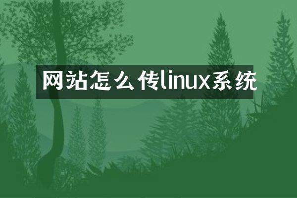 网站怎么传linux系统