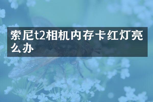 t2相机内存卡红灯亮怎么办