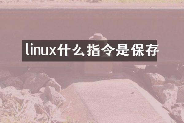 linux什么指令是保存