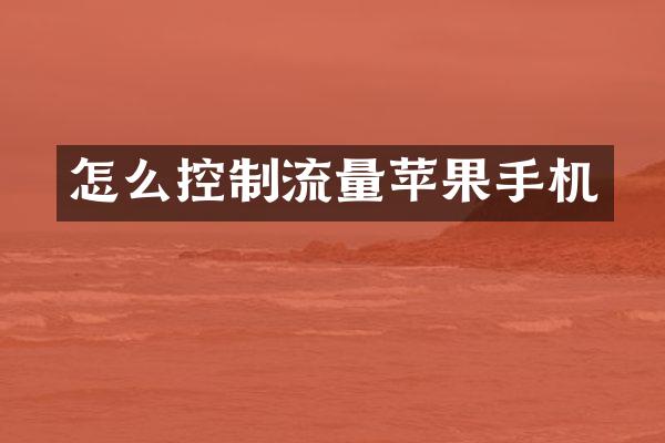 怎么控制流量苹果手机