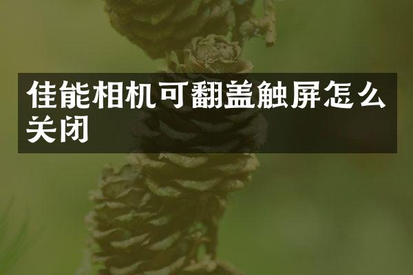 佳能相机可翻盖触屏怎么关闭