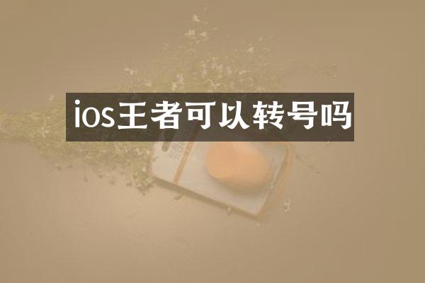 ios王者可以转号吗