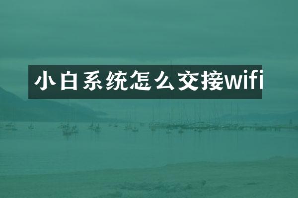 小白系统怎么交接wifi