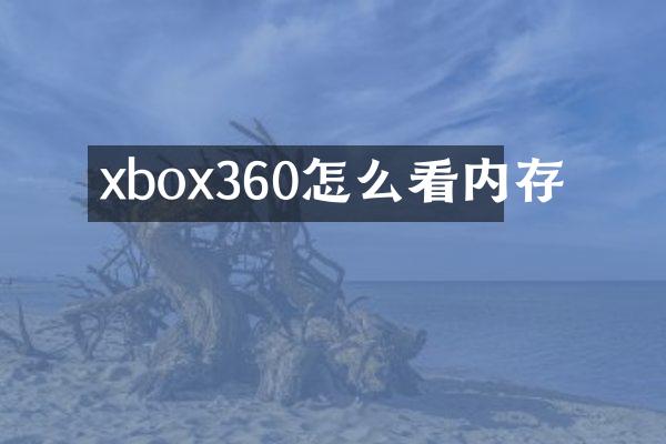 xbox360怎么看内存