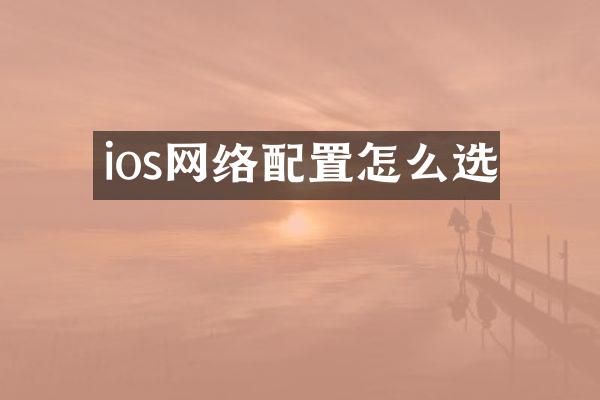 ios网络配置怎么选