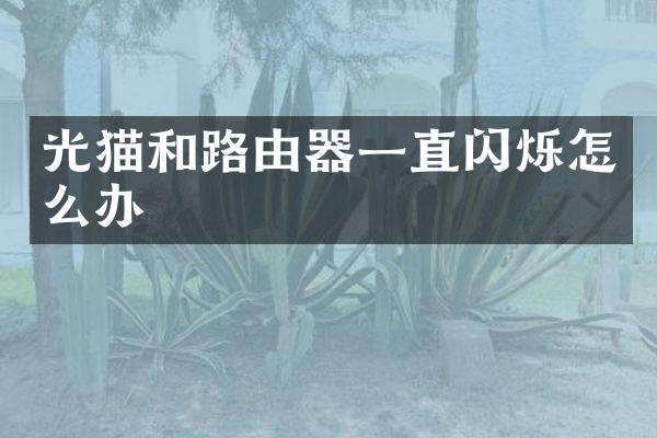 光猫和路由器一直闪烁怎么办