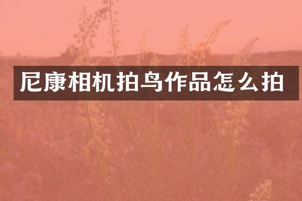 尼康相机拍鸟作品怎么拍