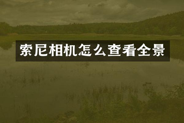 相机怎么查看全景