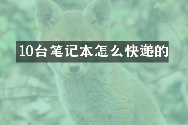 10台笔记本怎么快递的