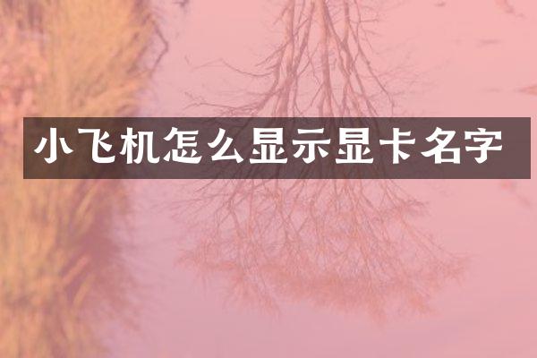 小飞机怎么显示显卡名字