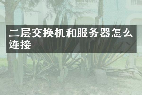 二层交换机和服务器怎么连接