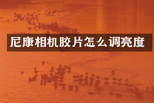 尼康相机胶片怎么调亮度