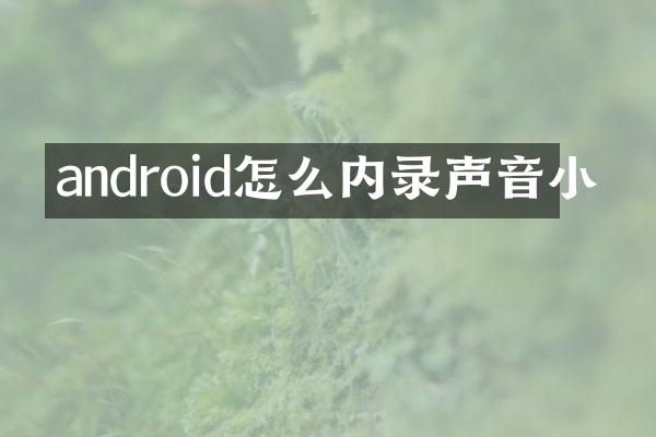 android怎么内录声音小