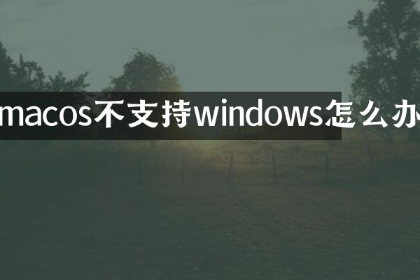 macos不支持windows怎么办