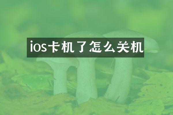 ios卡机了怎么关机