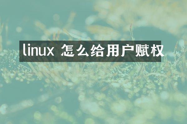 linux 怎么给用户赋权