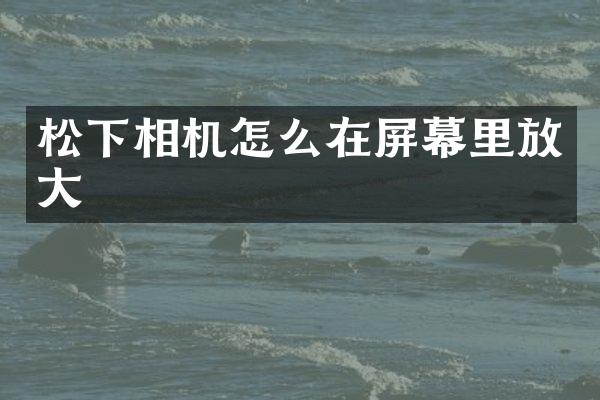 相机怎么在屏幕里放大
