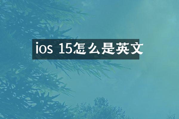 ios 15怎么是英文
