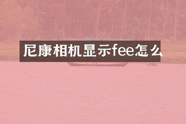 尼康相机显示fee怎么