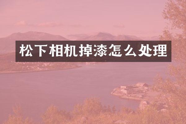 相机掉漆怎么处理