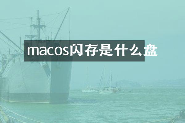 macos闪存是什么盘