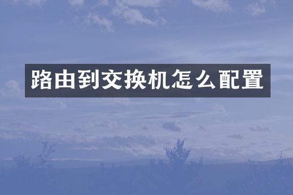 路由到交换机怎么配置