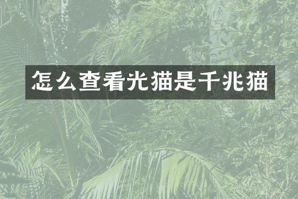 怎么查看光猫是千兆猫