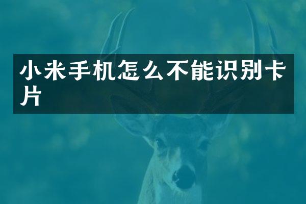 小米手机怎么不能识别卡片