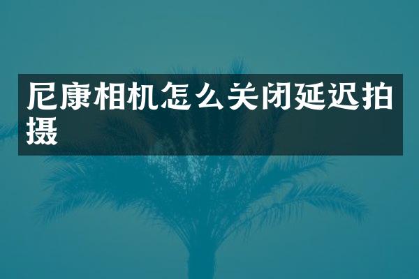 尼康相机怎么关闭延迟拍摄