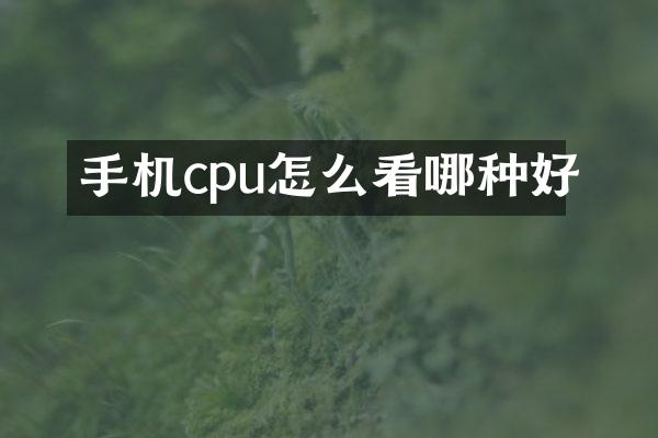 手机cpu怎么看哪种好