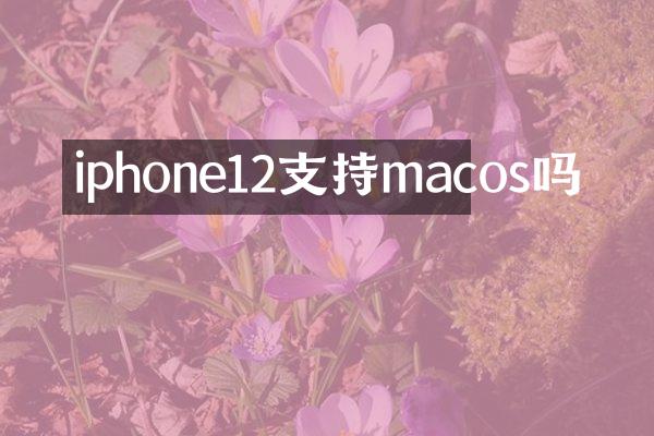 iphone12支持macos吗