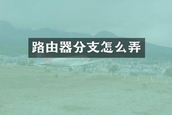 路由器分支怎么弄