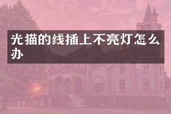 光猫的线插上不亮灯怎么办