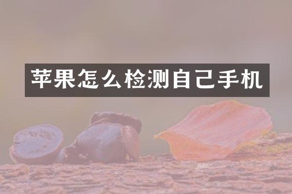苹果怎么检测自己手机