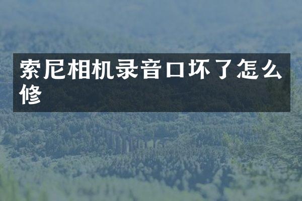 相机录音口坏了怎么修