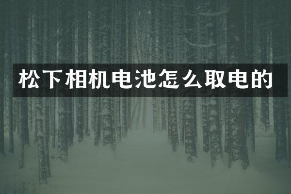 松下相机电池怎么取电的