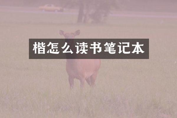 楷怎么读书笔记本