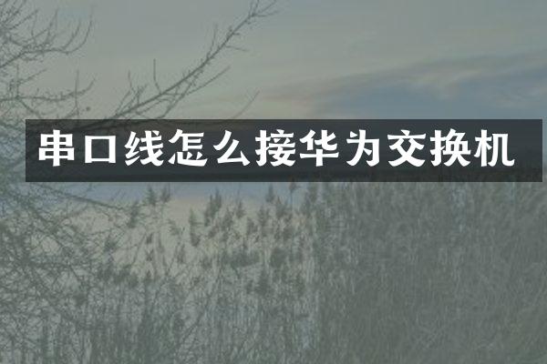 串口线怎么接华为交换机