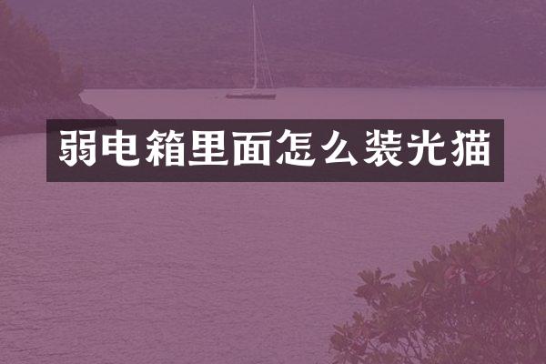弱电箱里面怎么装光猫
