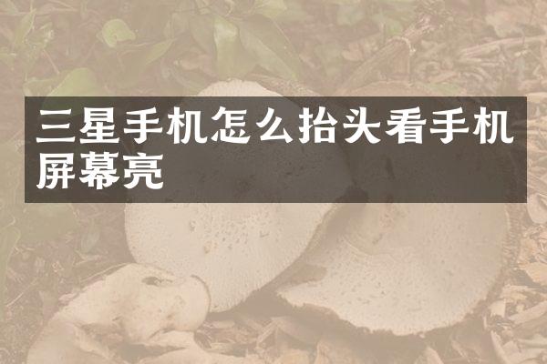 三星手机怎么抬头看手机屏幕亮